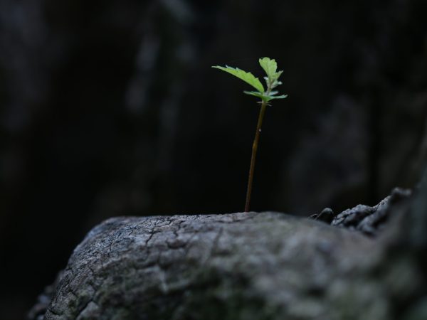 Is It Time to Update Your Will in Singapore? | LP Law Corporation